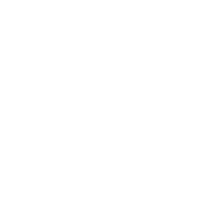 logo zlatsu